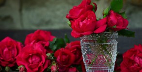 roses-821705_1280